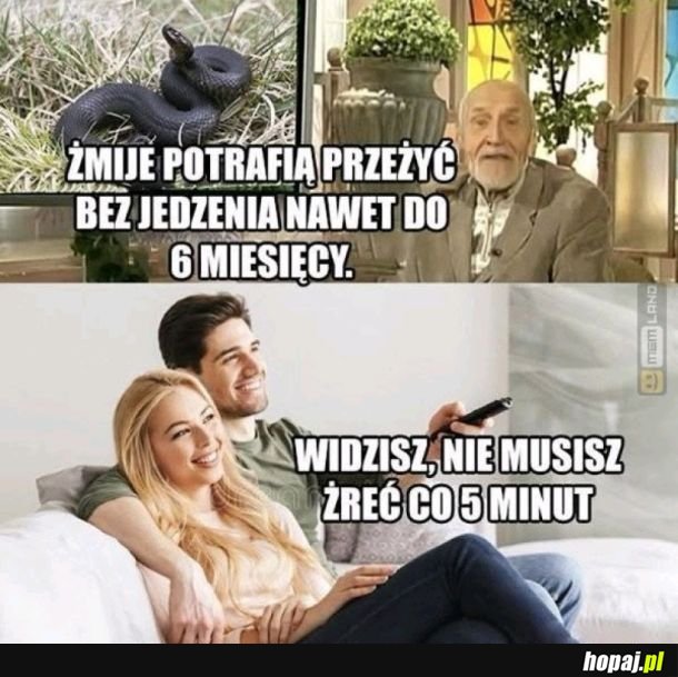Porada żywieniowa