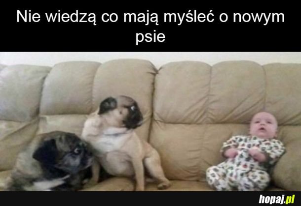 Co to ma być?!