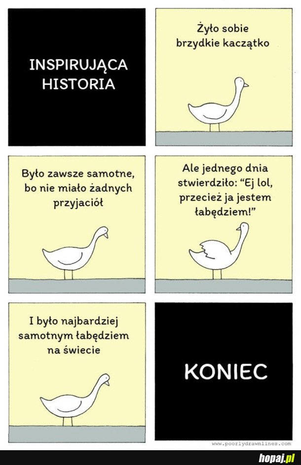 BRZYDKIE KACZĄTKO