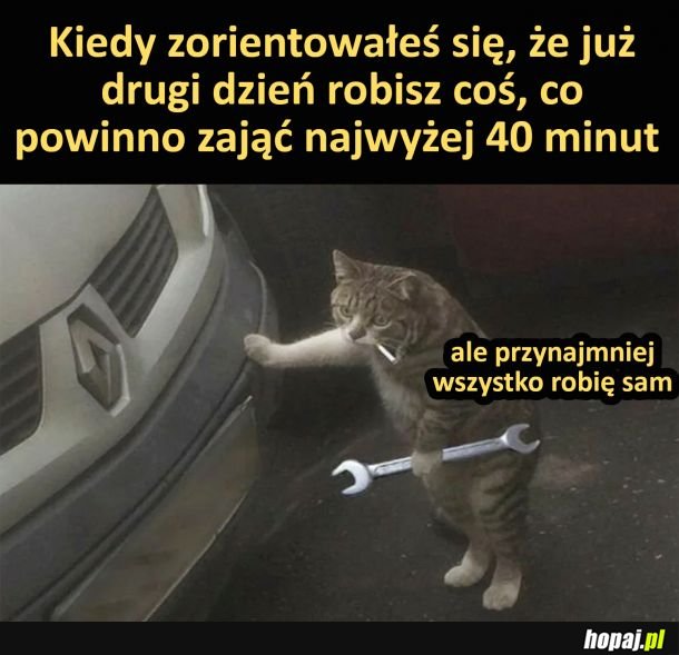 Ważne, że samodzielnie