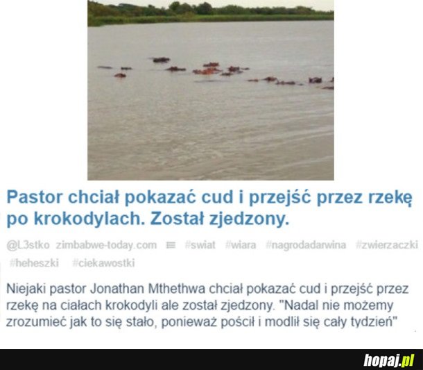 CO MOGŁO PÓJŚĆ NIE TAK
