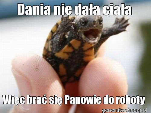 Dania nie dała ciała