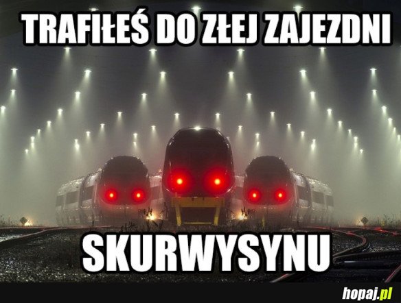 TRAFIŁEŚ DO ZŁEJ ZAJEZDNI