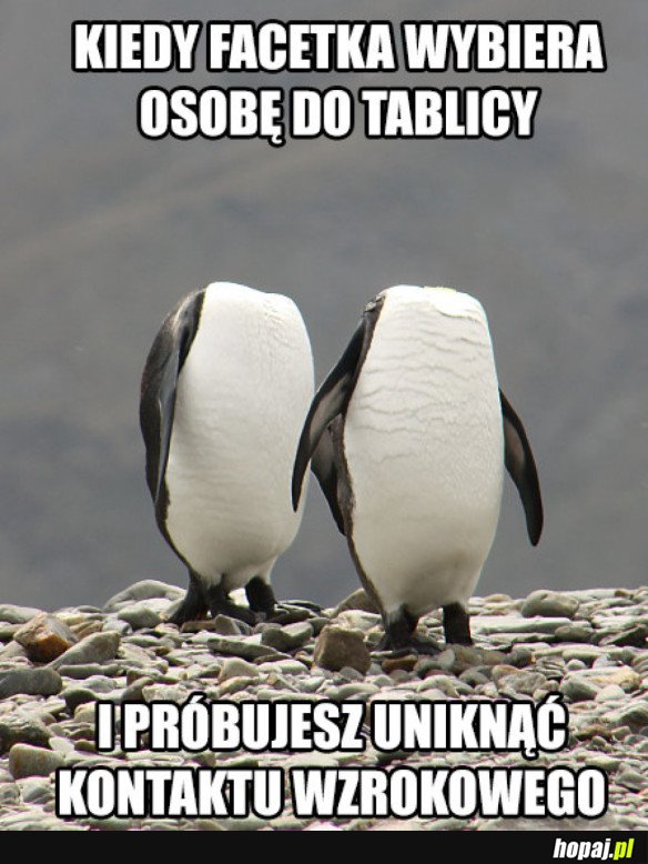 DO TABLICY