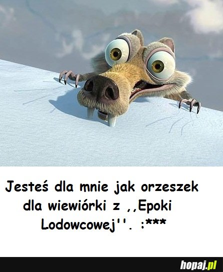 Jesteś dla mnie jak...