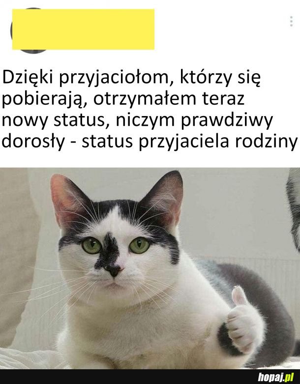 Nowy status