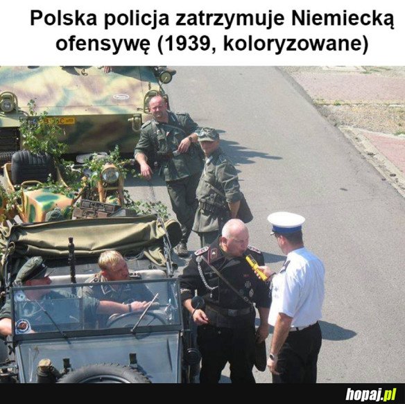 DZIELNY POLSKI POLICJANT