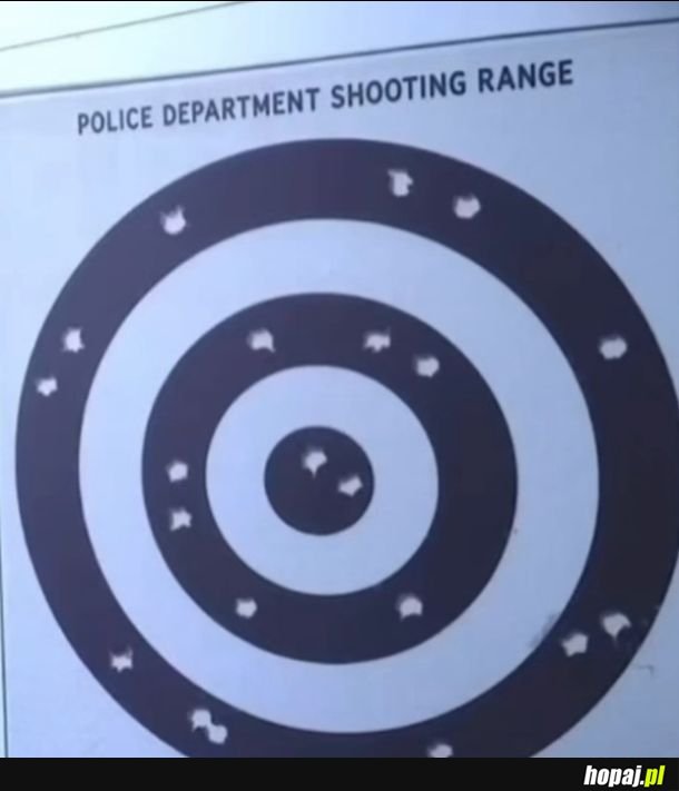 Strzelec wyborowy czy wybiórczy?