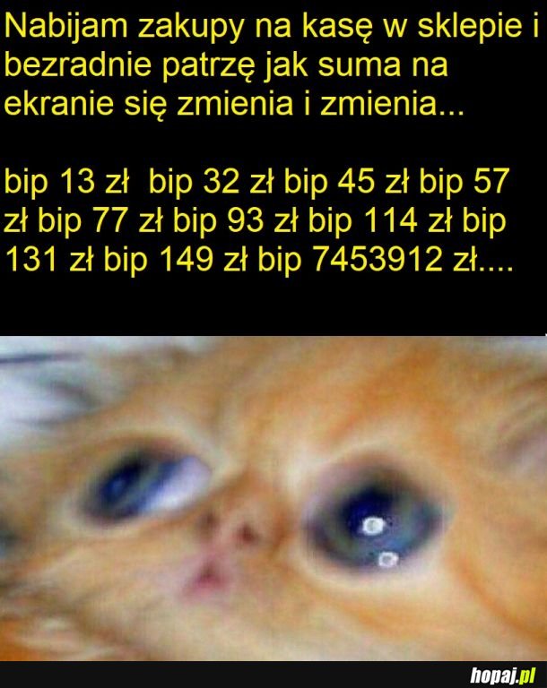 Zakupy przy wypłacie 2k