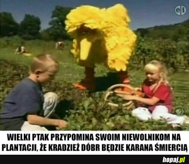 NIE TAK TO PAMIĘTAŁEM