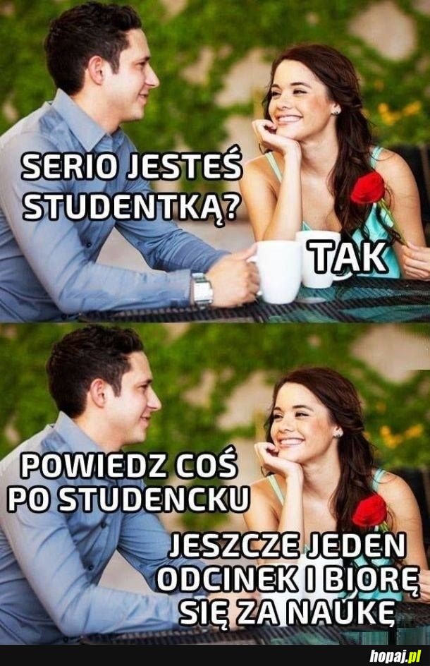 Język studentów