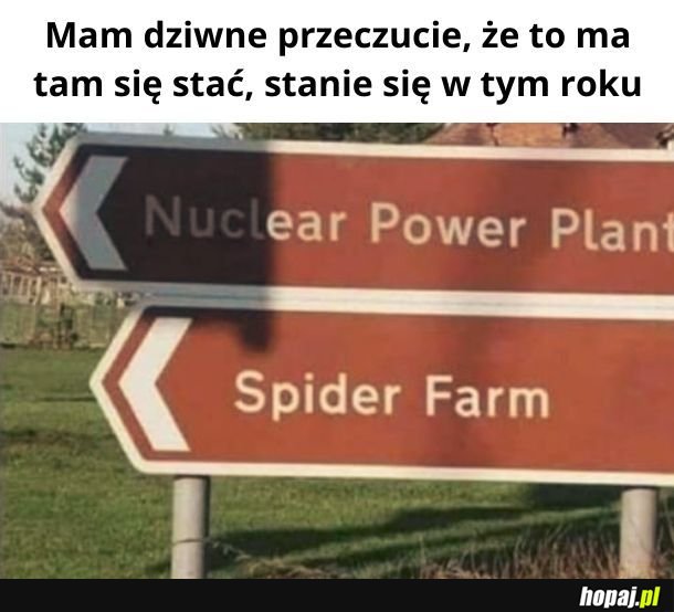 Oczywiście