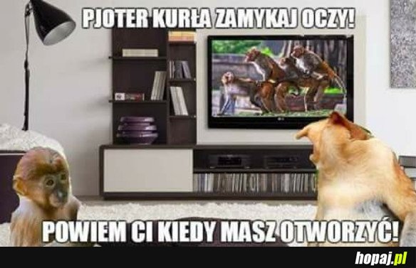 OGLĄDANIE FILMU Z TATĄ