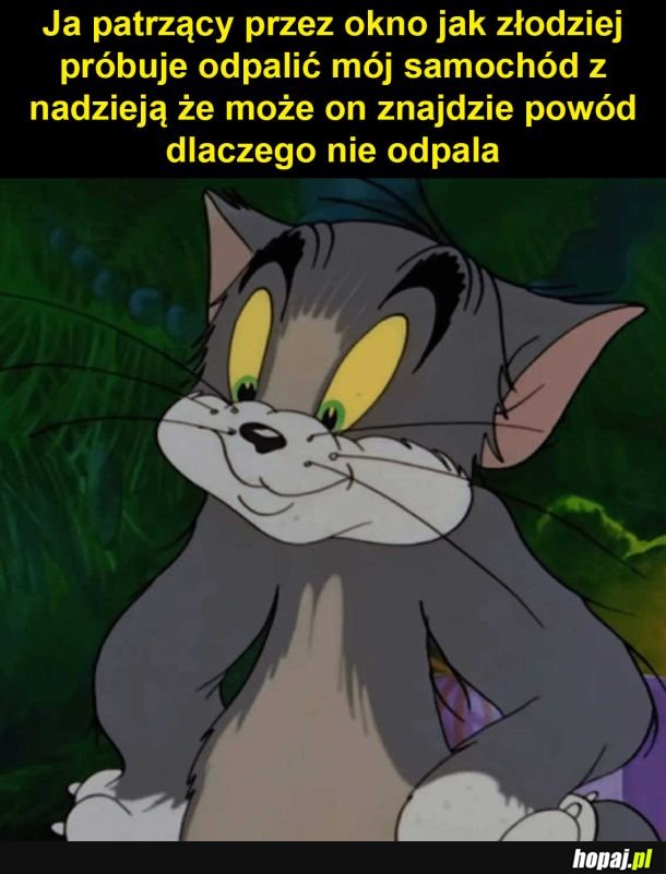 No pokaż co tam potrafisz