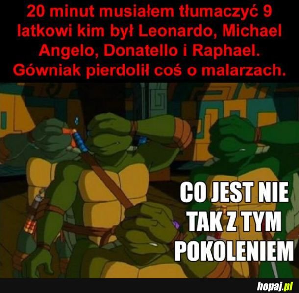 Żółwie Ninja 