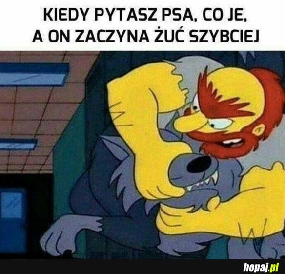 ZA KAŻDYM RAZEM