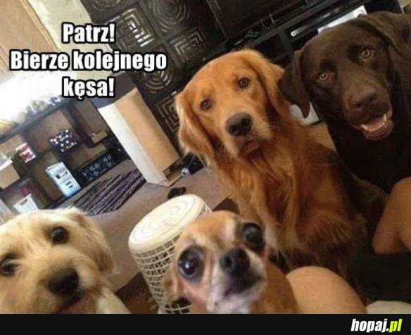 JAK TAK MOŻNA
