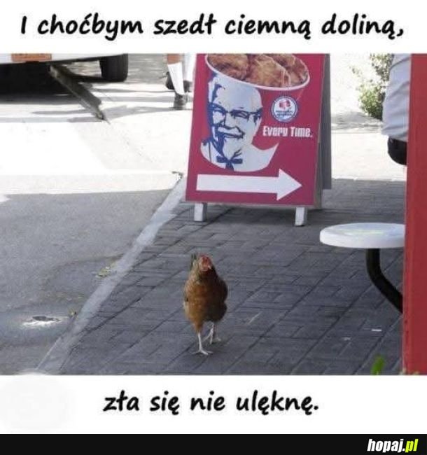 Xd