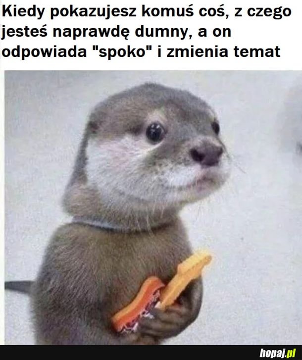 Spoko. 