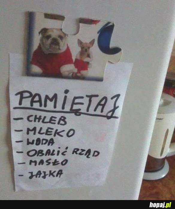 ZADANIA KODOWCANA DZIŚ