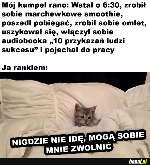 Różnice