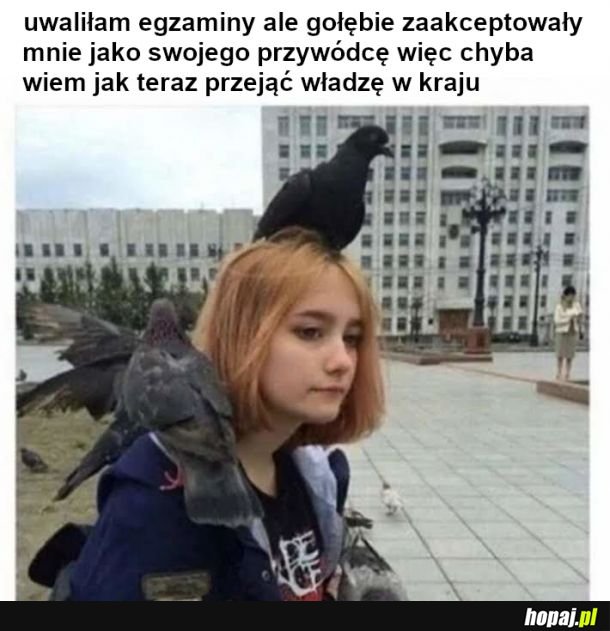 Królowa gołębi