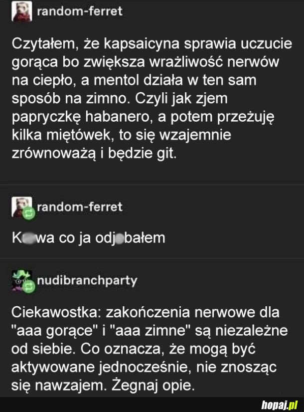 Miało wyjść inaczej