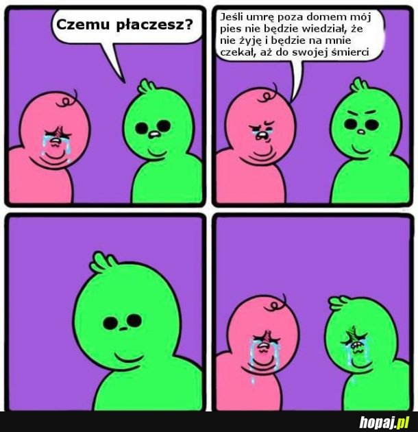  Piesek w domu