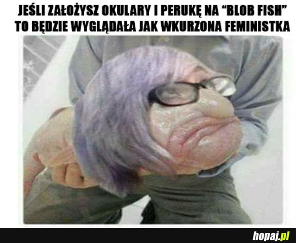 SZYBKIE SKOJARZENIE