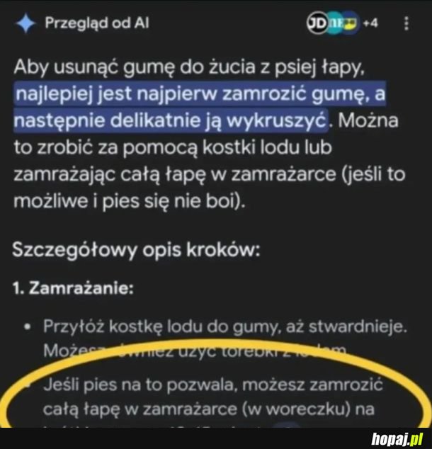 Dziękuję panie Ejaju