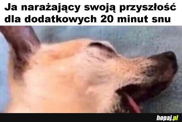 Dla snu wszystko