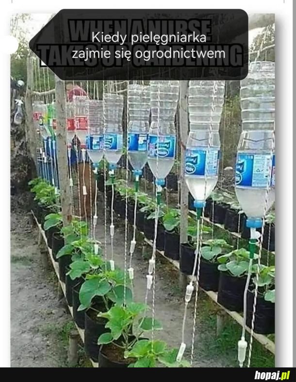 Grunt, że działa