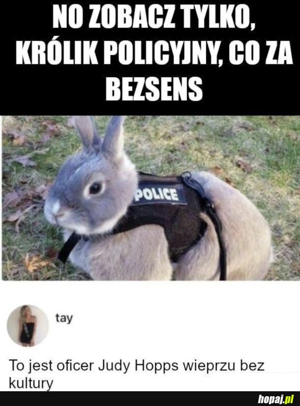 Królik policyjny