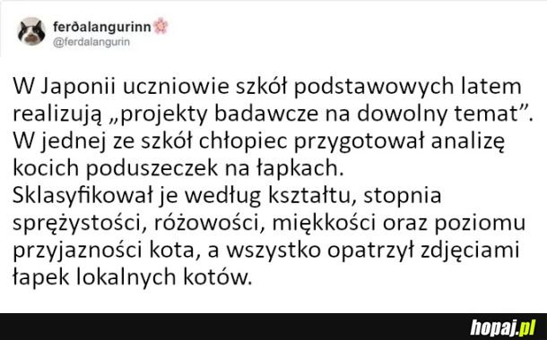 Klasyfikacja poduszek
