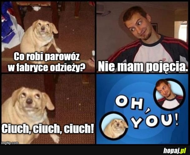 To jest tak głupie, że aż sam się śmiałem, kiedy to wymyśliłem.