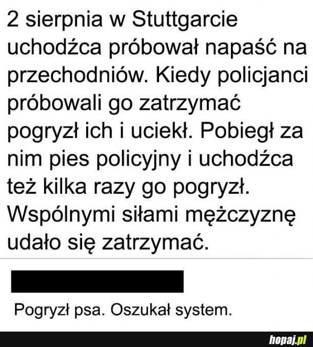  Oszukał system