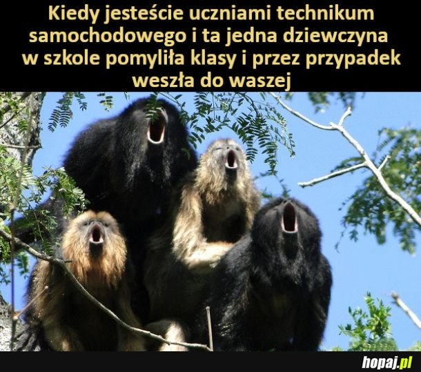 Wooo dziewczyna!