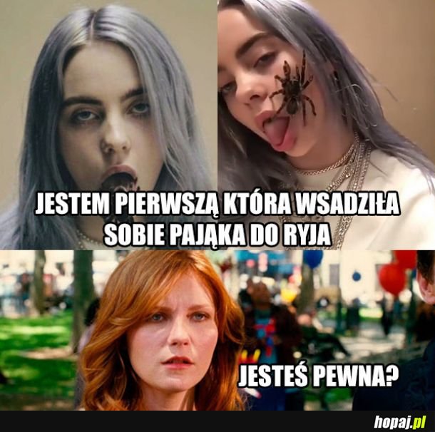 Pająk