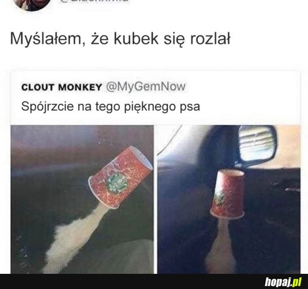 Tbh ja też