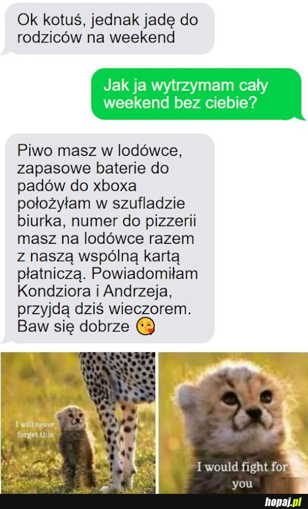 Jednak muszę jechać