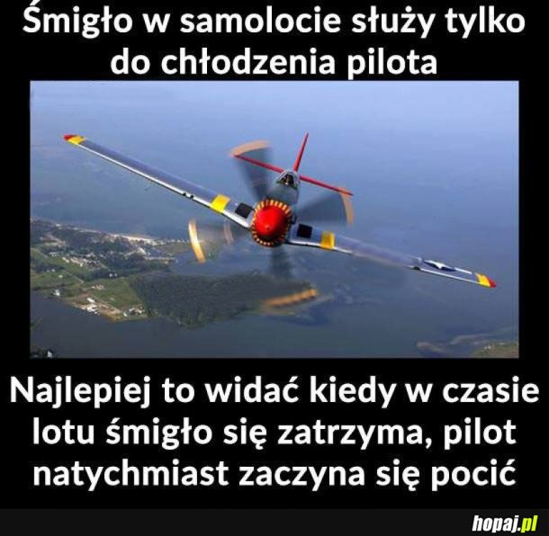 ŚMIGŁO W SAMOLOCIE