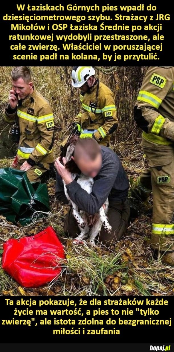 Strażacy uratowali psa