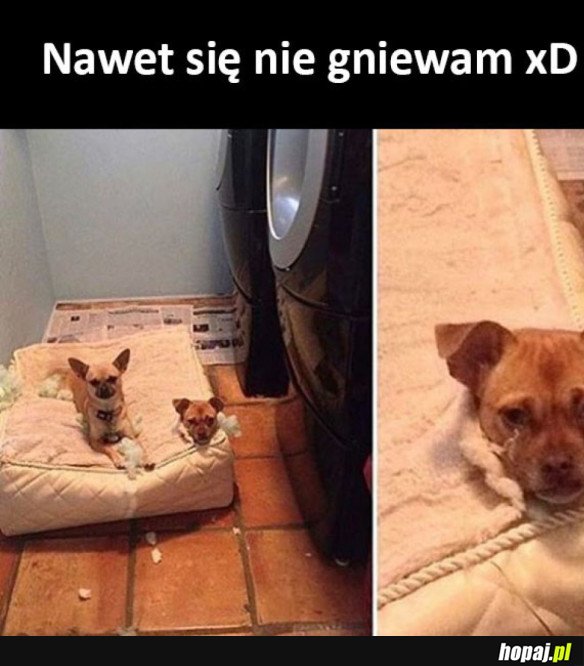 JAK MÓGŁBYM