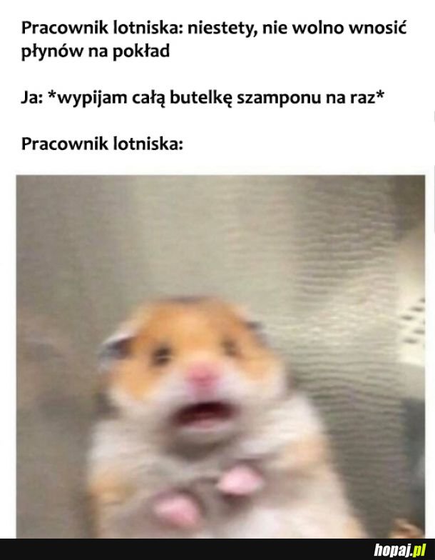 Pracownik lotniska