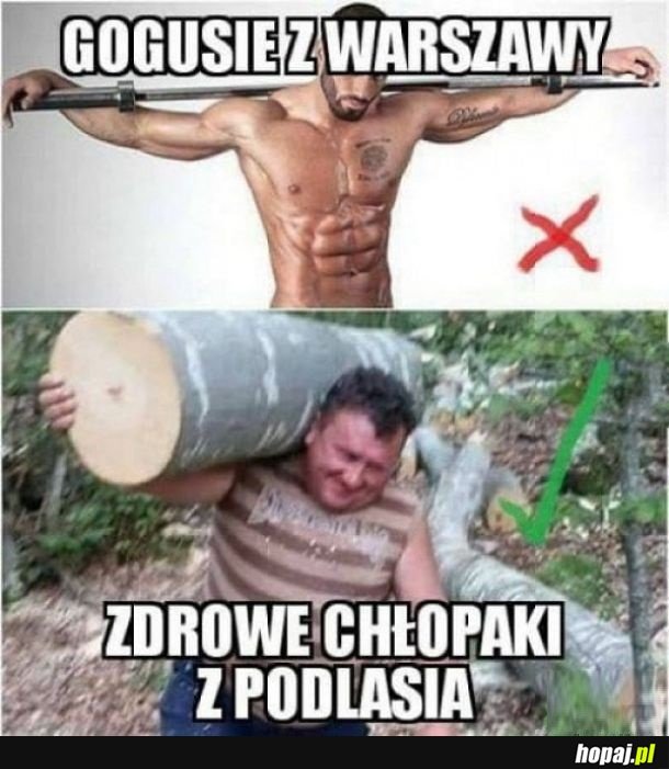 Warszawa vs. Podlasie