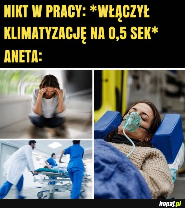 Aneta