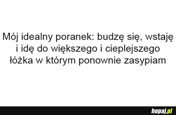 Idealny poranek
