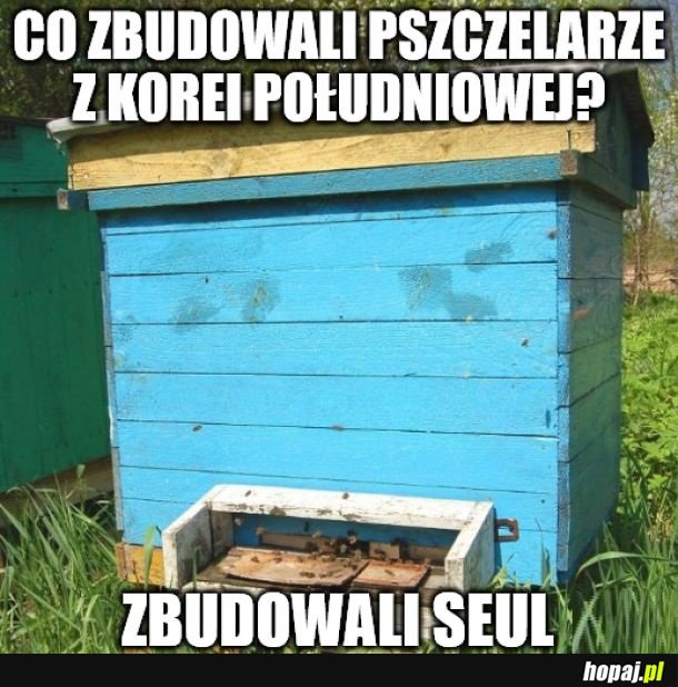 Za ten suchar dajcie mi puchar