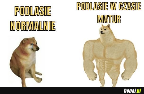 Podlasie