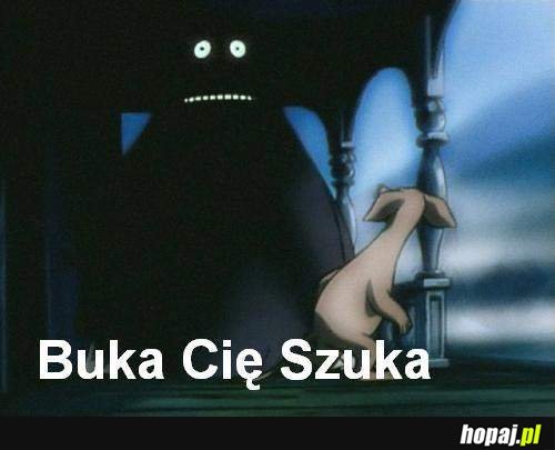 Buka Cię Szuka